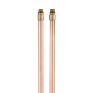 811611.2P-Copper tails