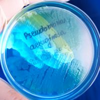 Armed against nosocomial infections